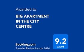 Big Apartment In The City Centre