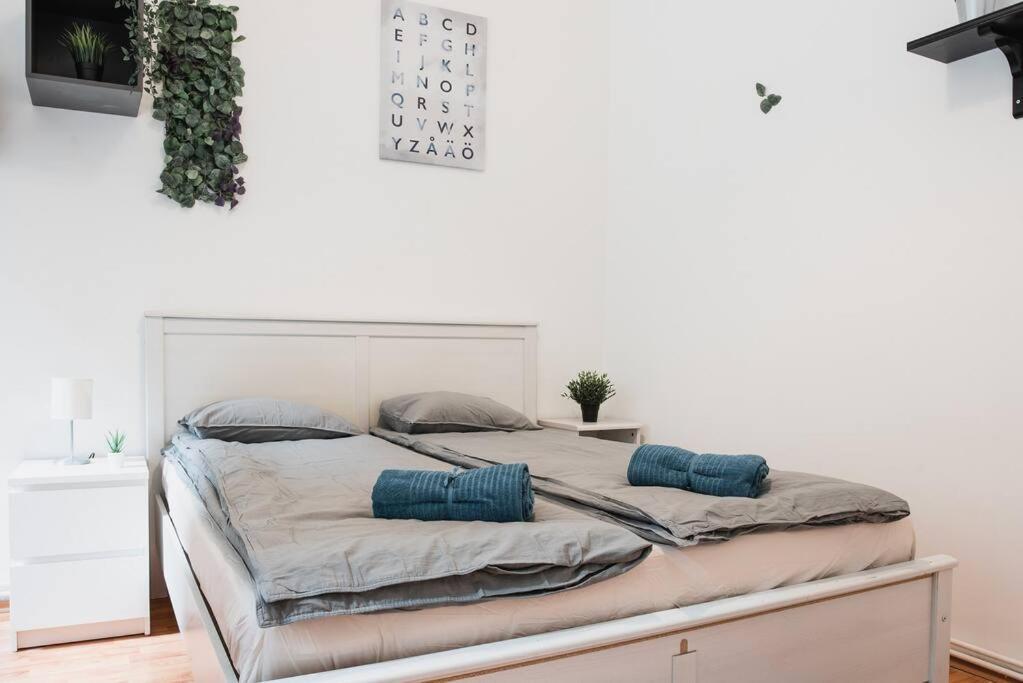 Big Apartment In The City Centre Budapest Esterno foto