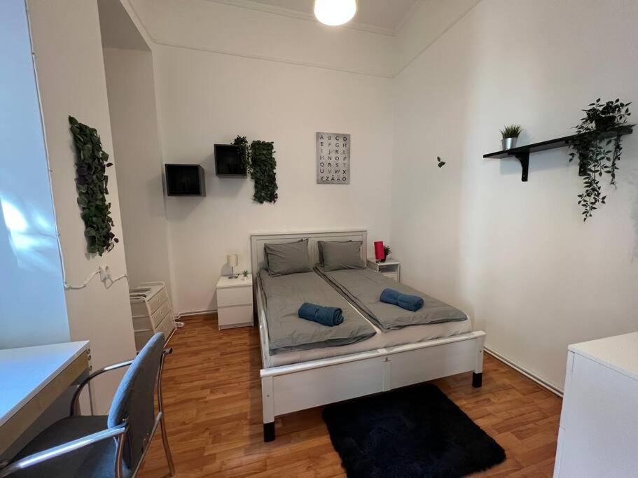 Big Apartment In The City Centre Budapest Esterno foto